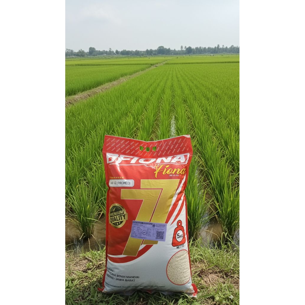 Benih padi Inpari 32 promeo premium original 5 kg