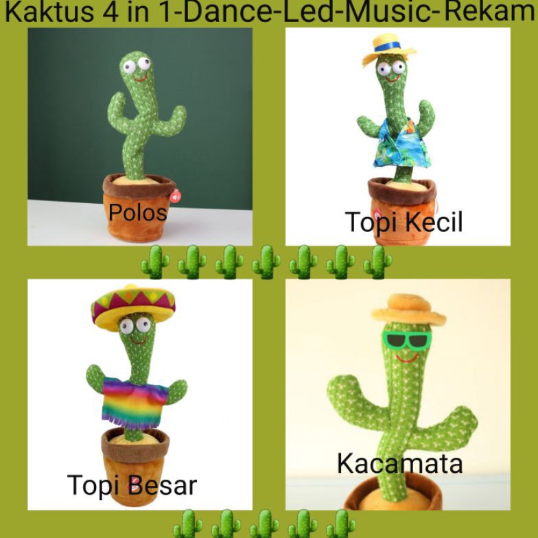 Ready Now hero Mainan Anak Boneka Musik Kaktus Joget Menari Bisa Ngomong Rekam Suara  Dancing Cactus