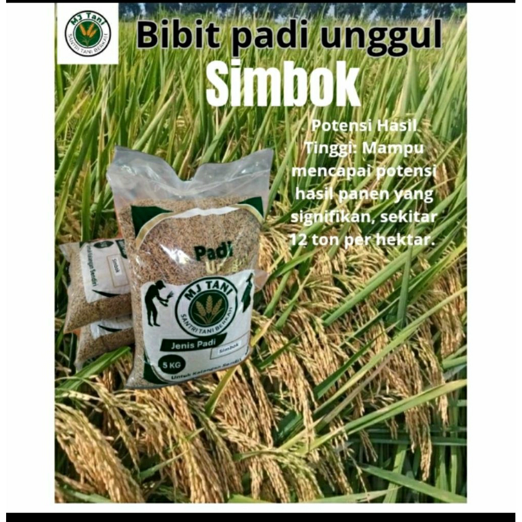 benih padi unggul SIMBOK 5KG
