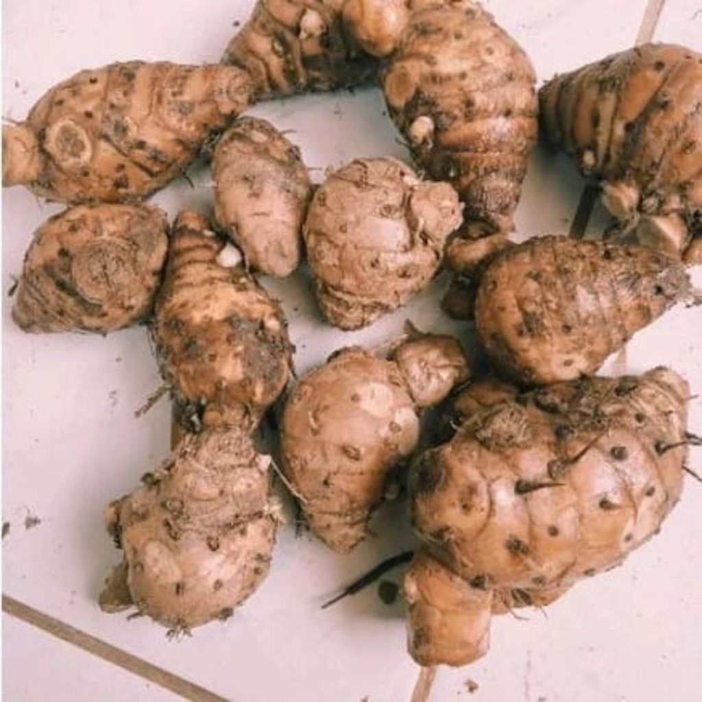 

EMPU / BIANGNYA KUNYIT PUTIH SEGAR 1 Kg