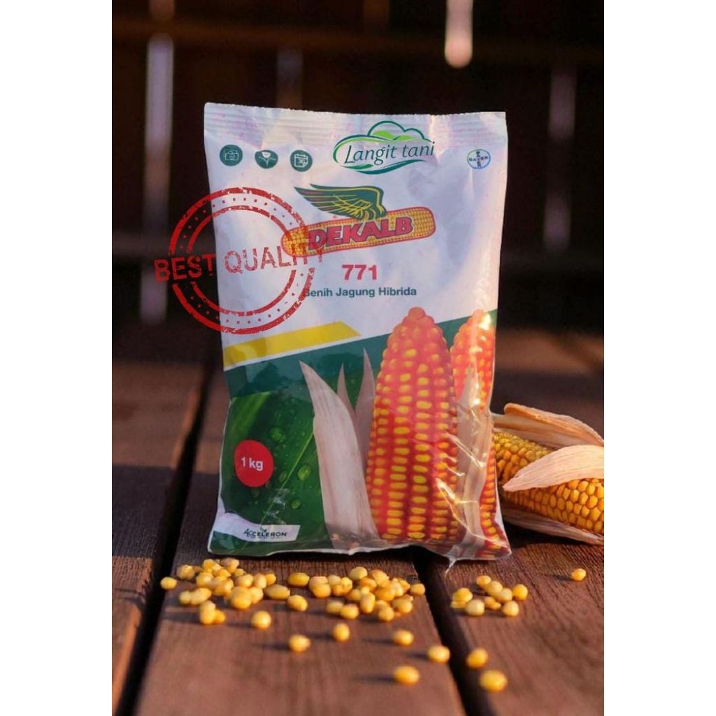 BENIH JAGUNG DEKALB 771 KEMASAN 1 KG