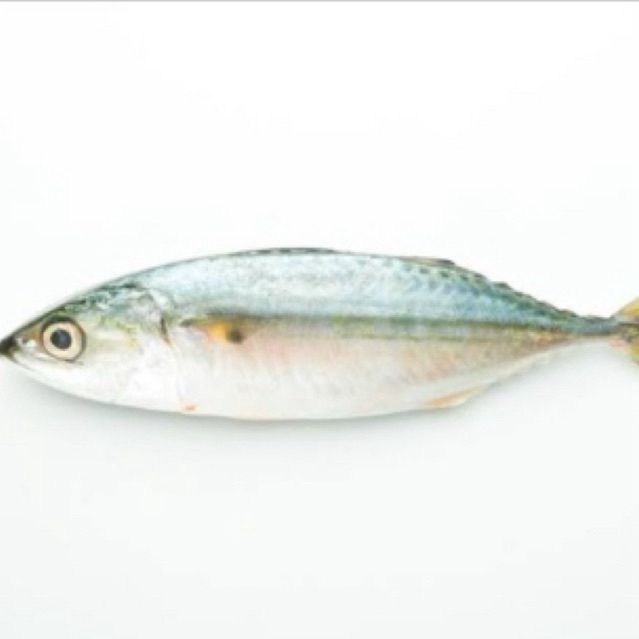 

Ikan Kembung (1kg) isi 6