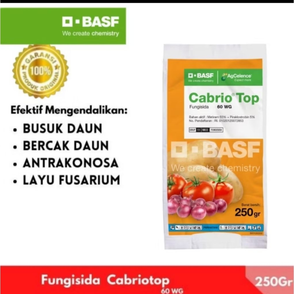 Fungisida CABRIO TOP 60 WG 250 GR