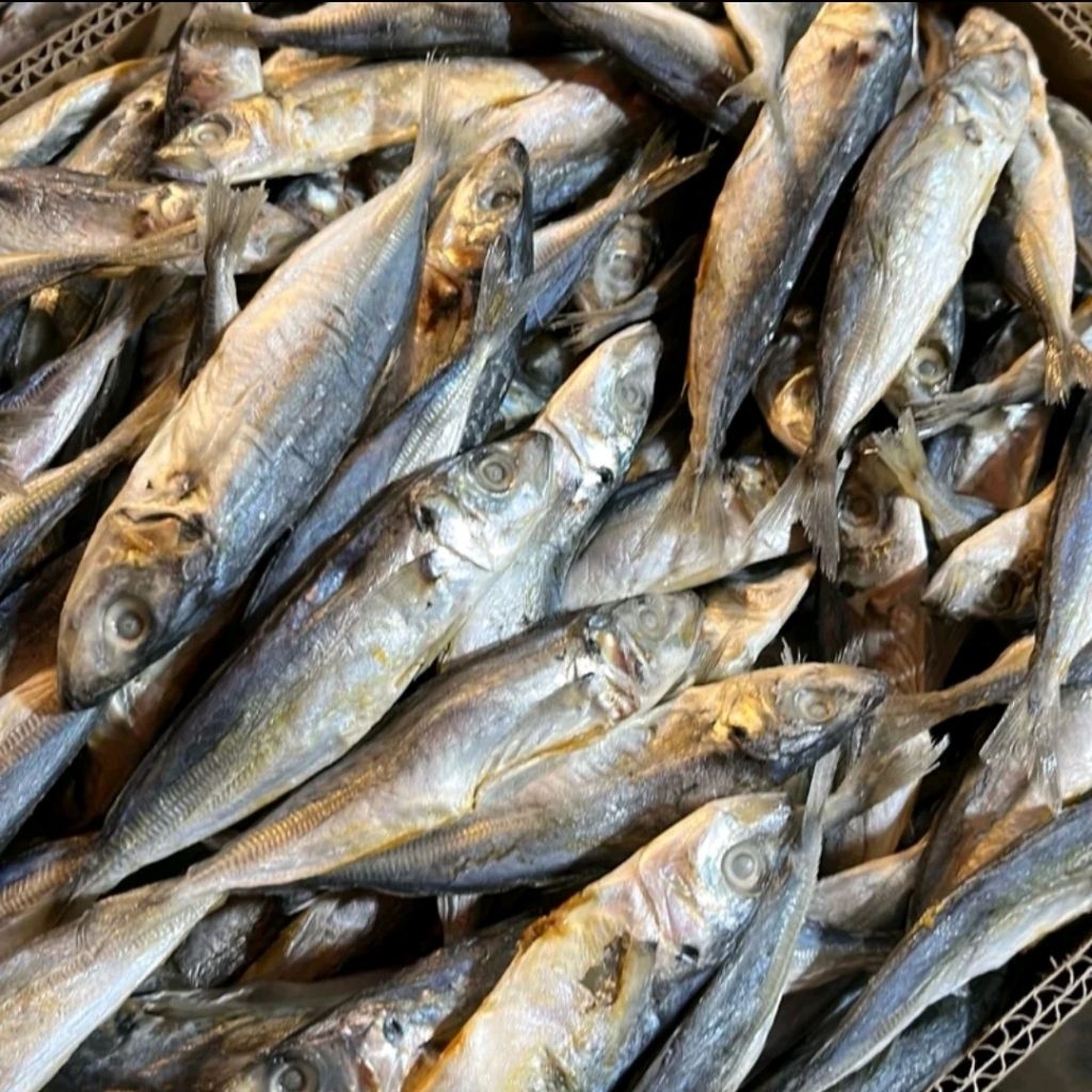 

COD ikan asin layang kecil / ikan asin japuh / ikan asin layang fresh best seller TERMURAH