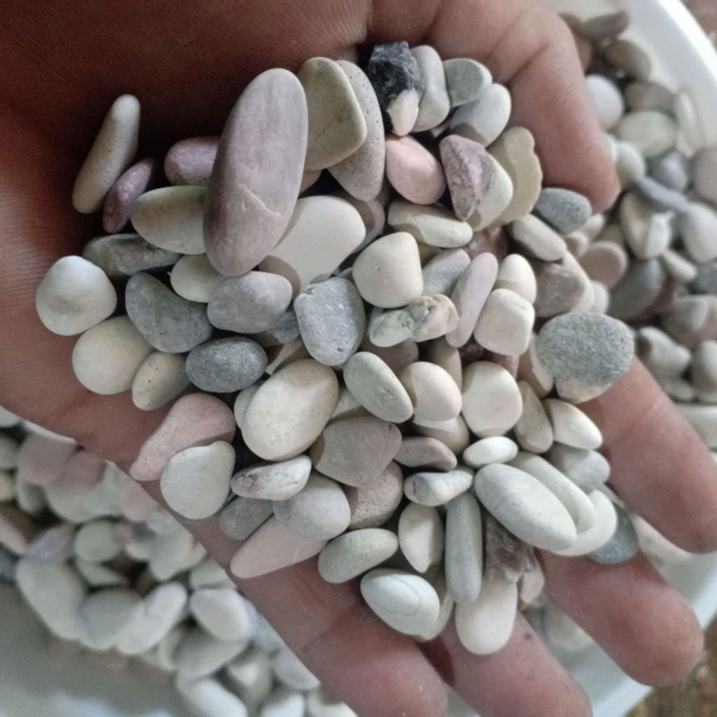 Batu Hias Pancawarna penghias pot Tanaman / Kolam / Aquarium Batu Pancawarna repack 1kg