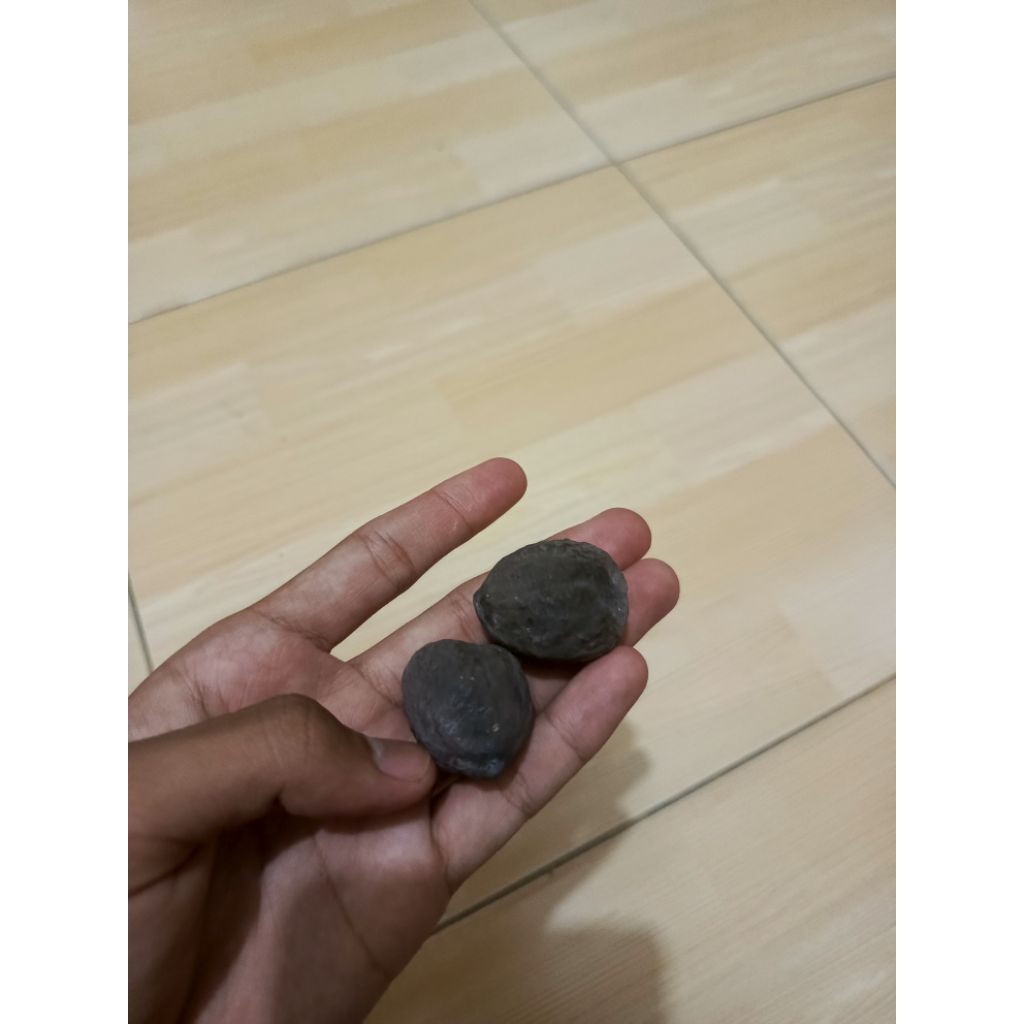 muncang adu jabra rawon