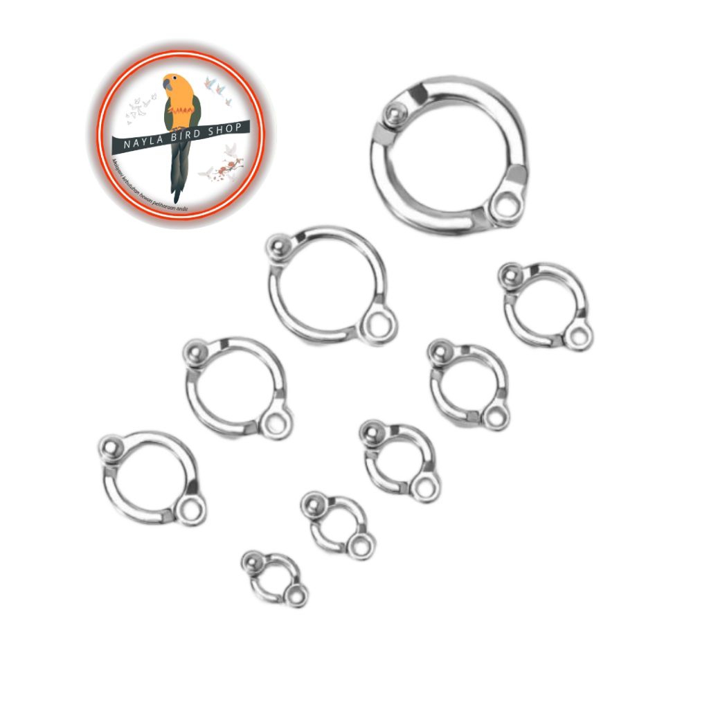 RING BORGOL BURUNG PARKIT LOVEBIR FALK BORGOL BURUNG ANTI KARAT