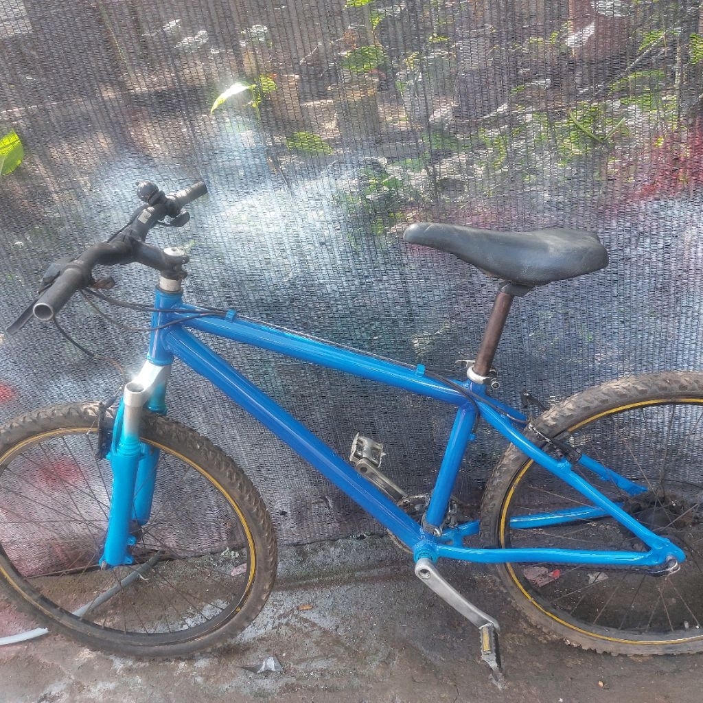 sepeda polygon aloy rim