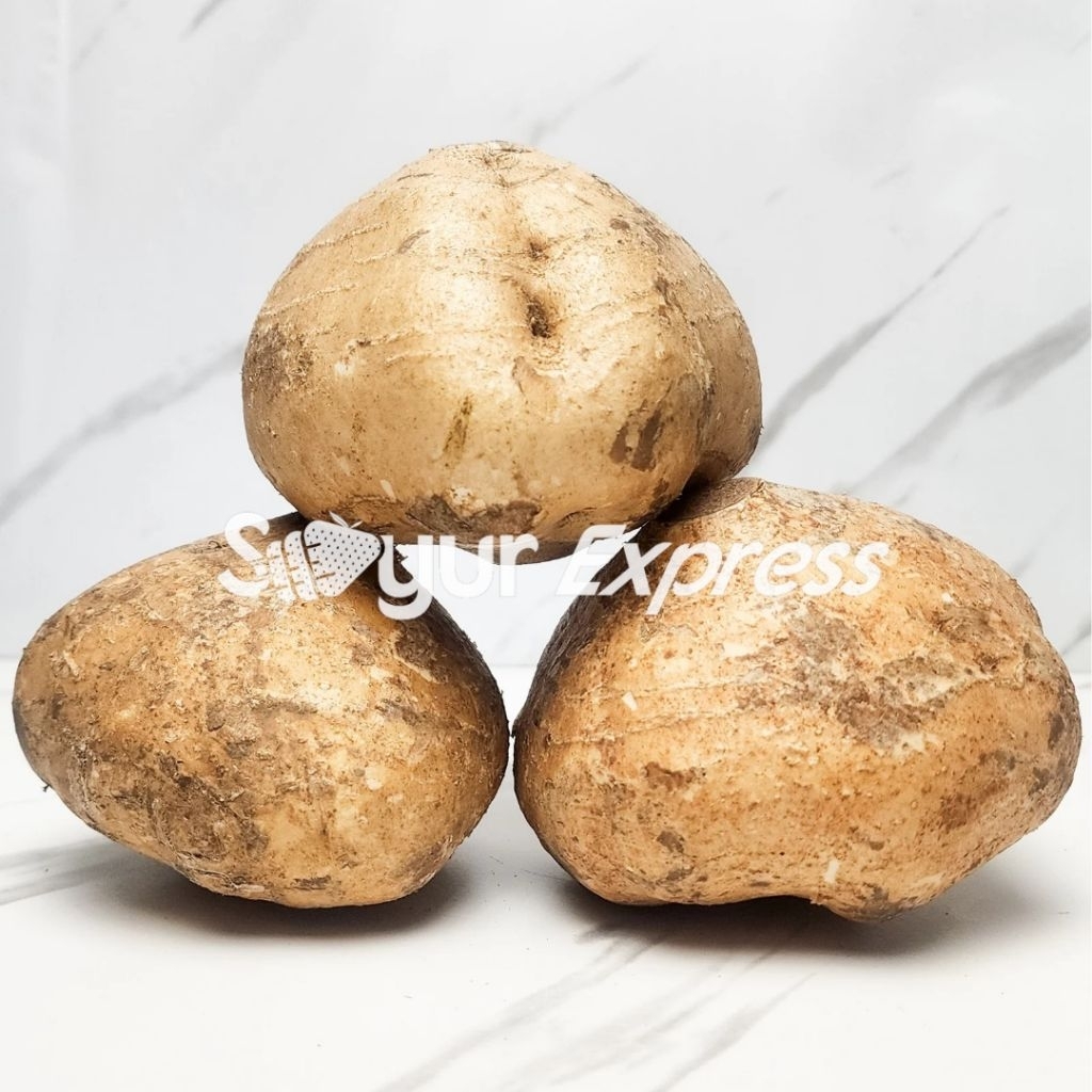 

KIRIM INSTAN Bengkoang 1kg