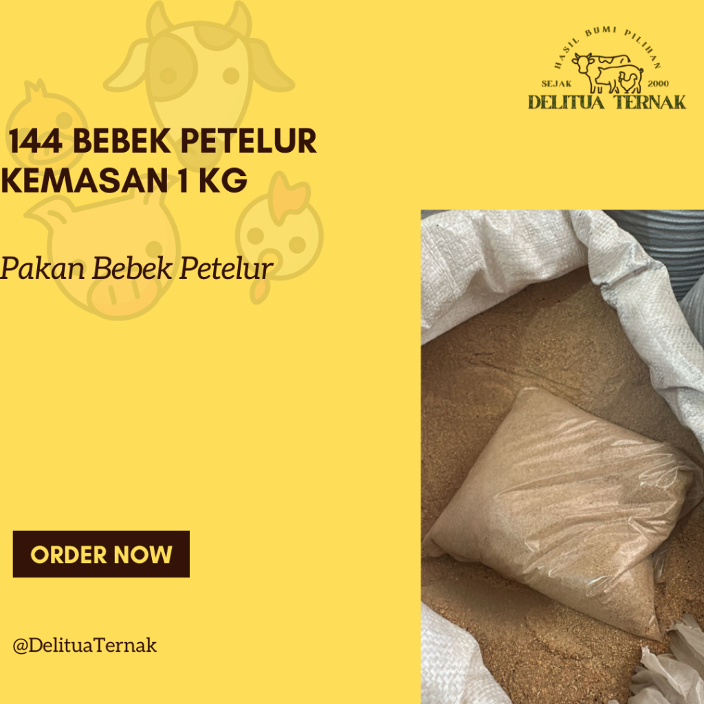 Pakan Ternak 144 Bebek Petelur Per 1 Kg