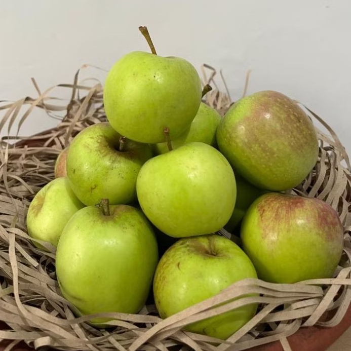 

Apel Manalagi 1 Kg Isi 13 - 15 buah/Kg