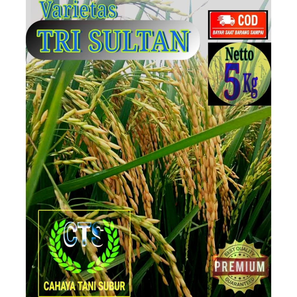 Tri sultan 05 Benih padi unggul (5kg) Varietas Super