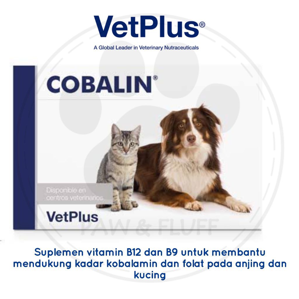 Cobalin by VetPlus - Vitamin B12 dan B9 untuk Anjing Kucing