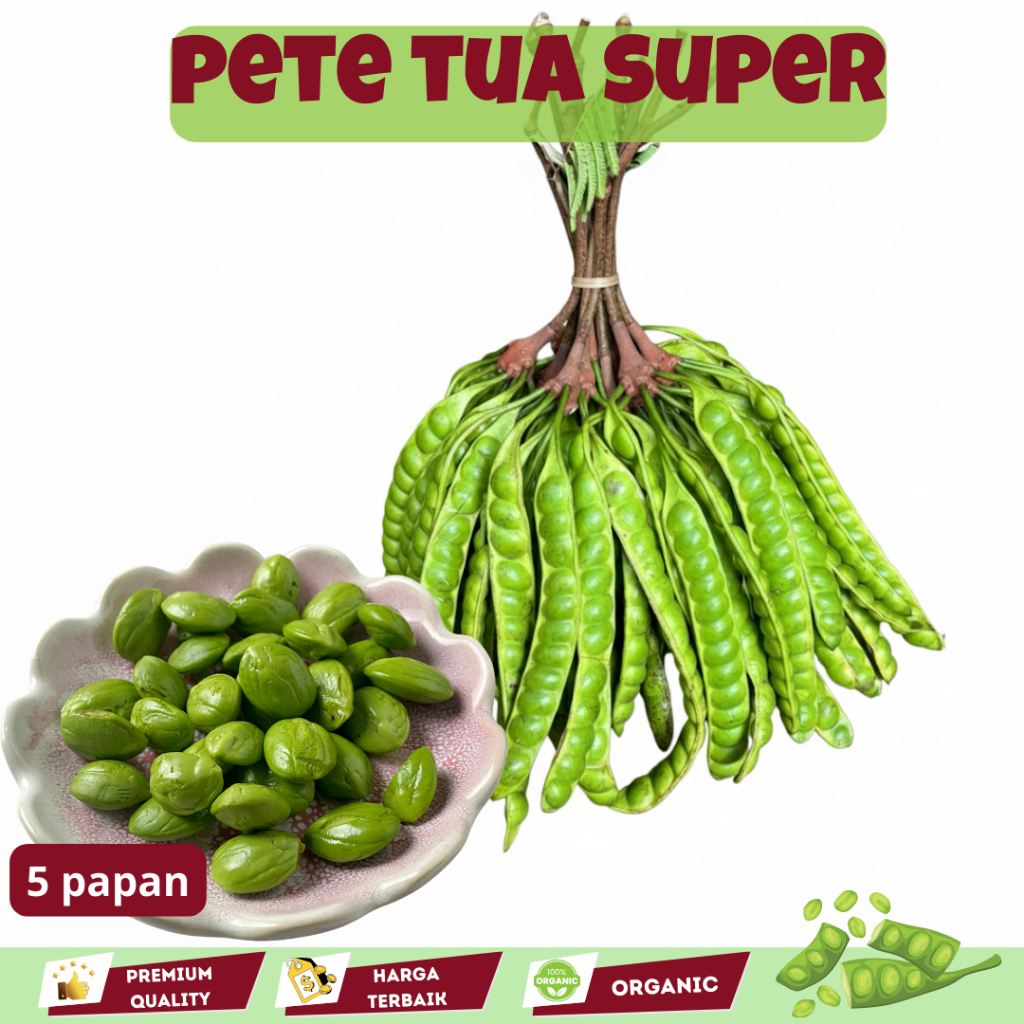 

Pete 1 Ikat Isi 5 Lonjor / Petei Super Wonogiri kualitas bagus segar baru petik