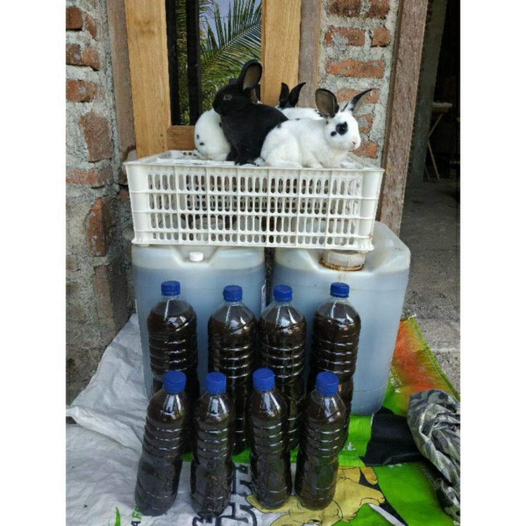 Widjaya Grow BioRabbit_Pupuk Organik Cair Urine Kelinci 1,5 Liter murni– Penyubur Tanaman Sayur, Bua