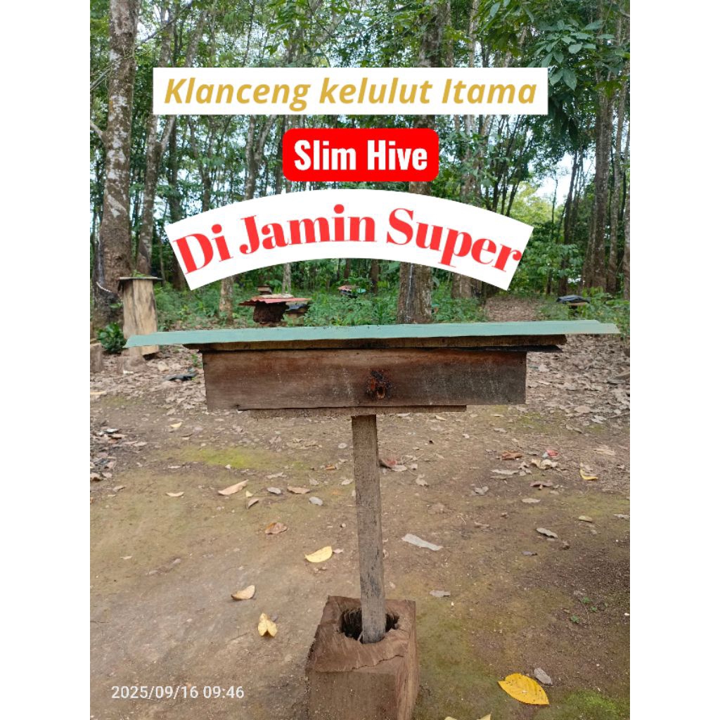 KLANCENG ITAMA STUP MODEL SLIM HIVE
