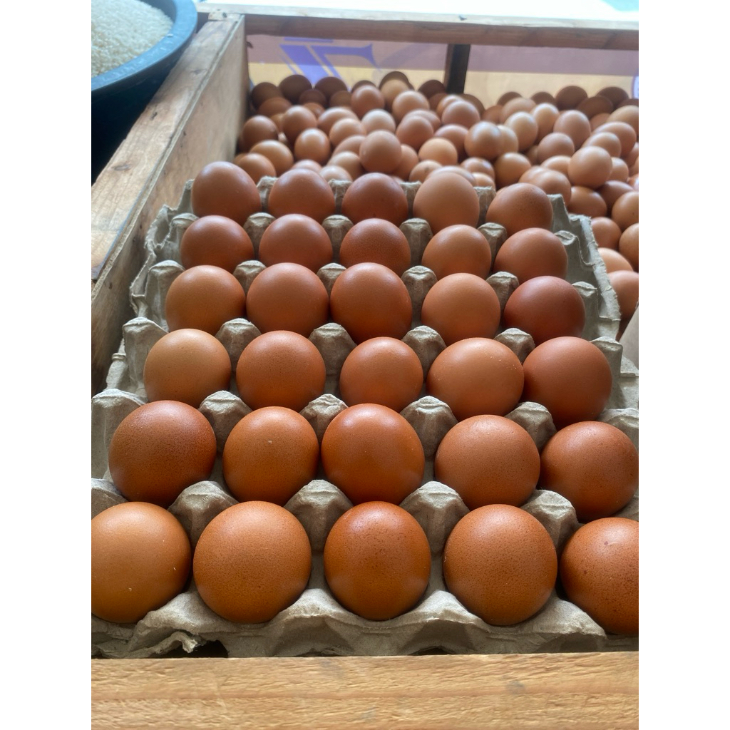 

Telur Ayam Negeri 1kg (premium)