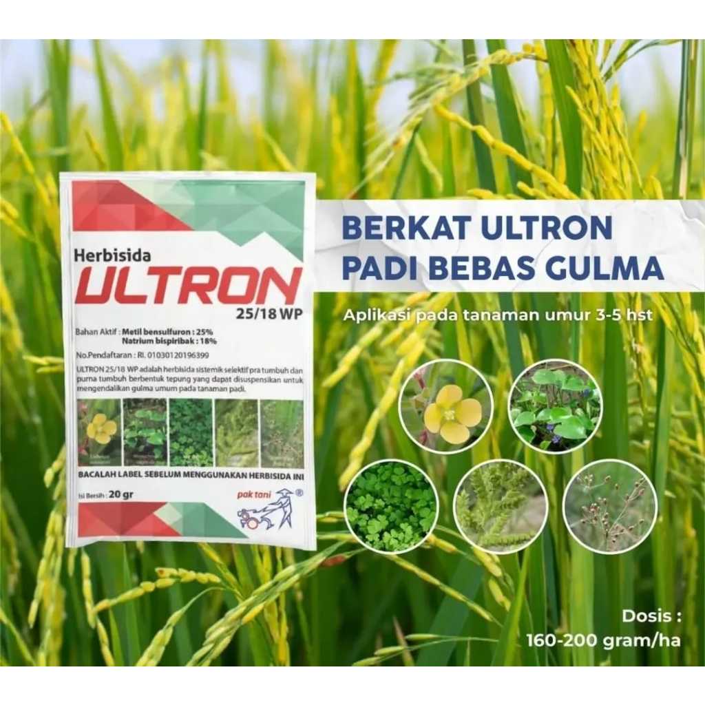 ULTRON 25/18 WP Herbisida Pra-tumbuh dan Purna Tumbuh buat Padi