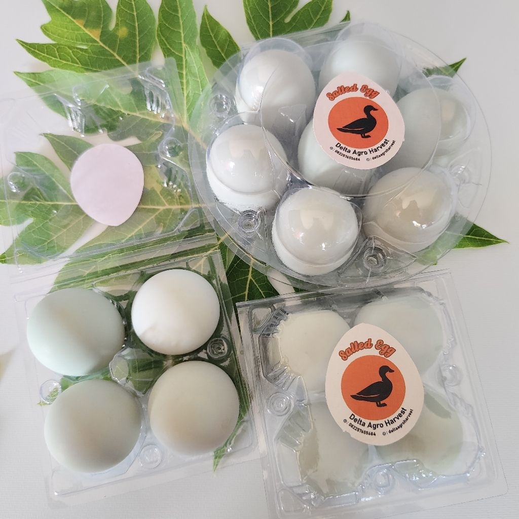 

TELUR ASIN PREMIUM DAH [FRESH DARI PETERNAKAN SENDIRI]