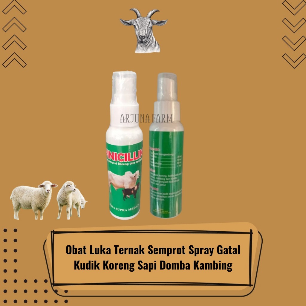 Pinicillin Spray Obat Luka Ampuh untuk Ternak Gatal Gudik Koreng Sapi Domba Kambing Pinicilin