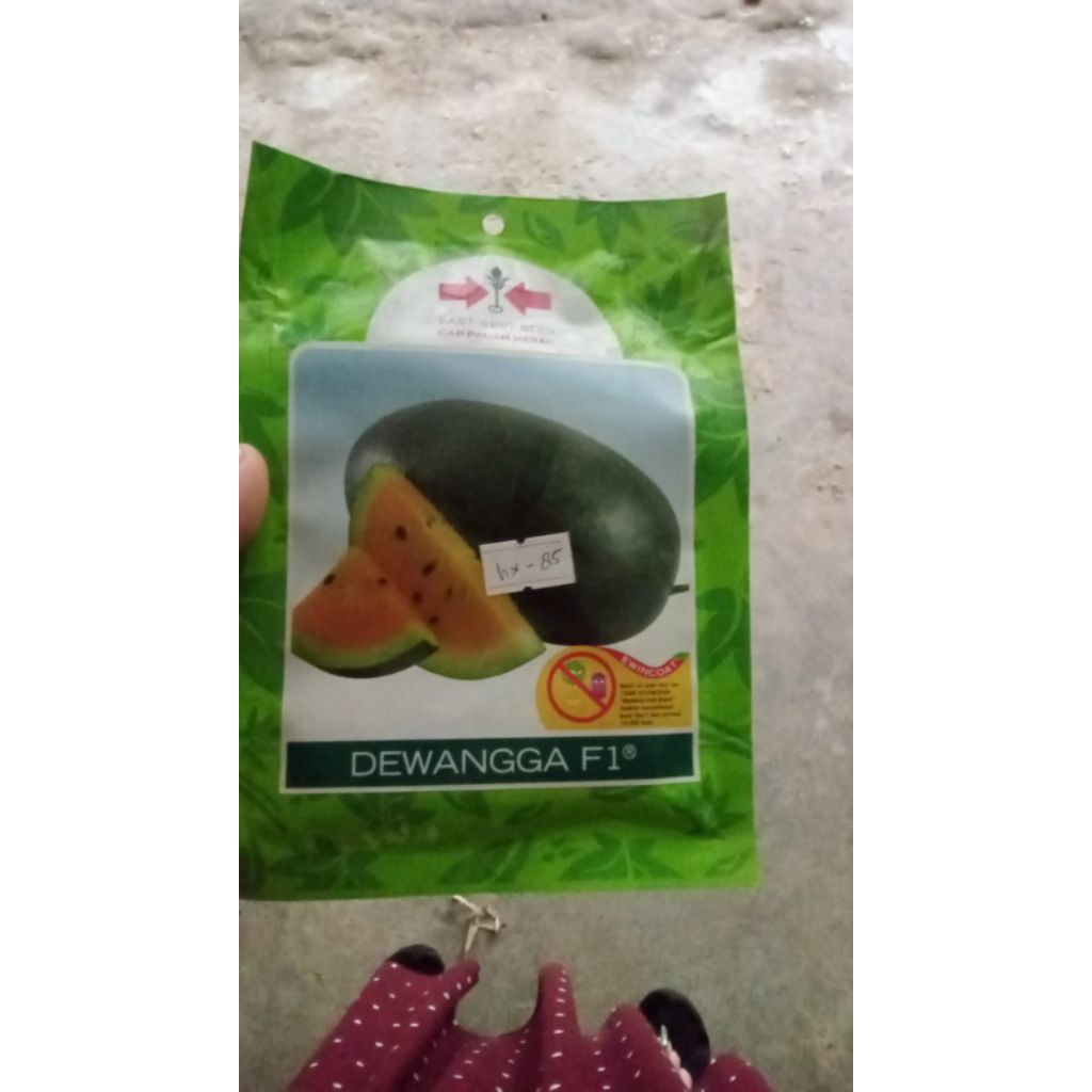 DEWANGGA F1 BENIH SEMANGKA KUNING BERBIJI