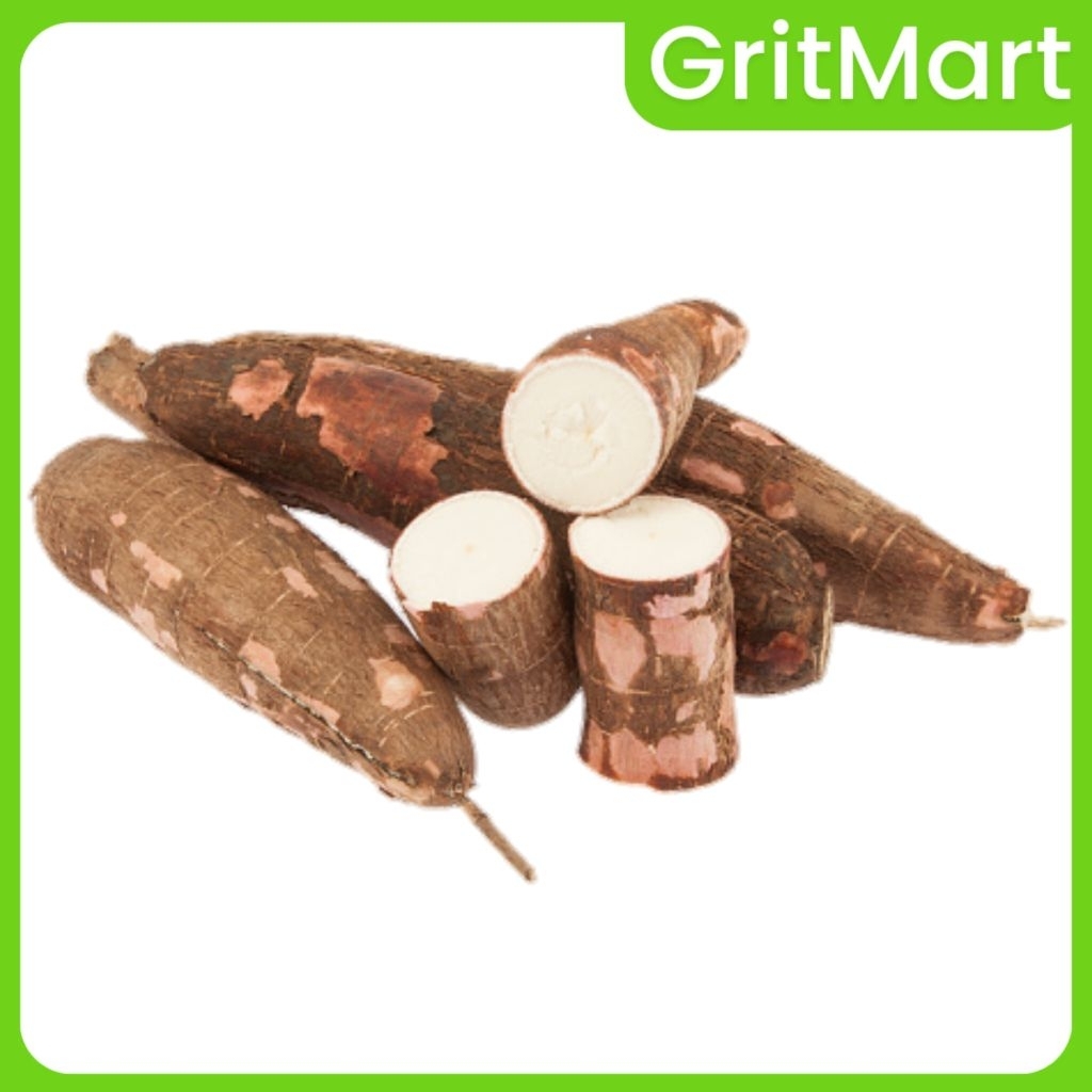 

Singkong Fresh 1 Kg | Singkong Empuk Cocok Untuk Olahan Cemilan