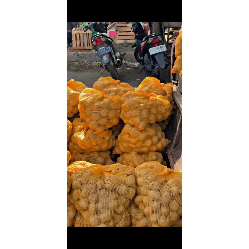 

Kentang Bromo ukuran sedang 1kg