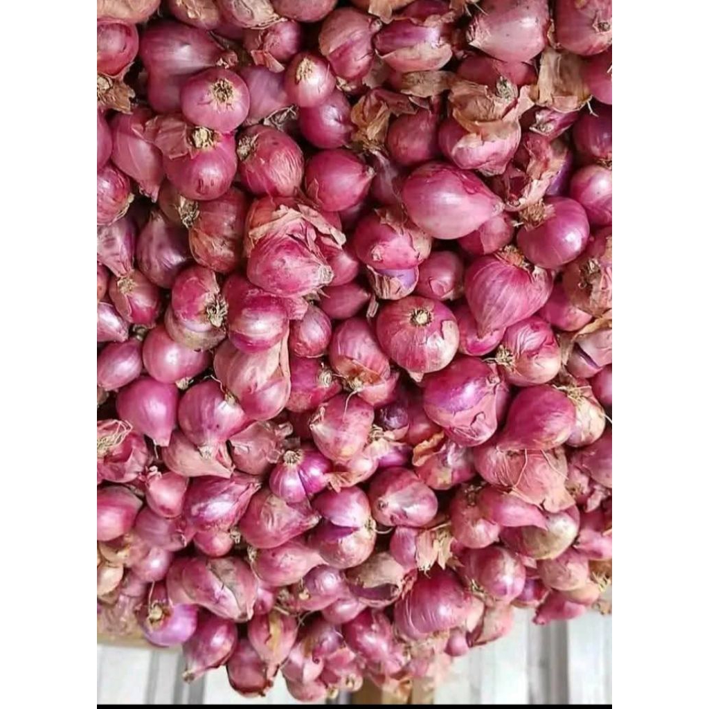 

Bawang merah tanggung besar berat 500gr_1kg