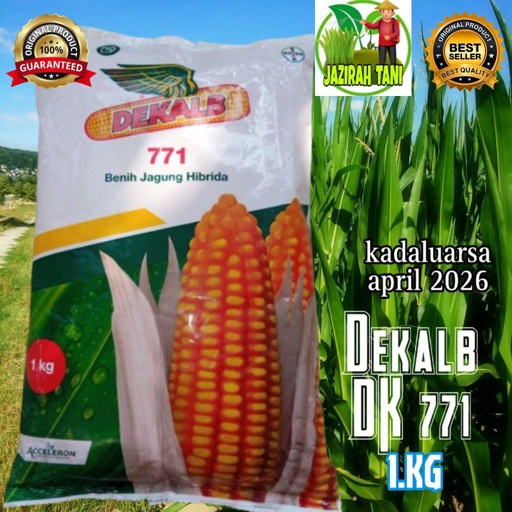 Benih jagung DK.771/ DEKALB.771 original
