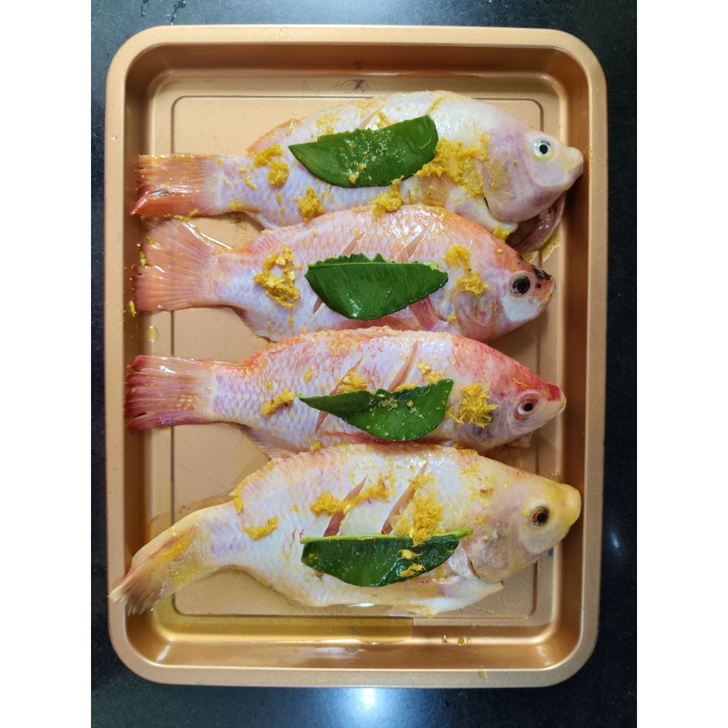 ikan nila bumbu kuning frozen 1 kg/nila frozen/ikan goreng