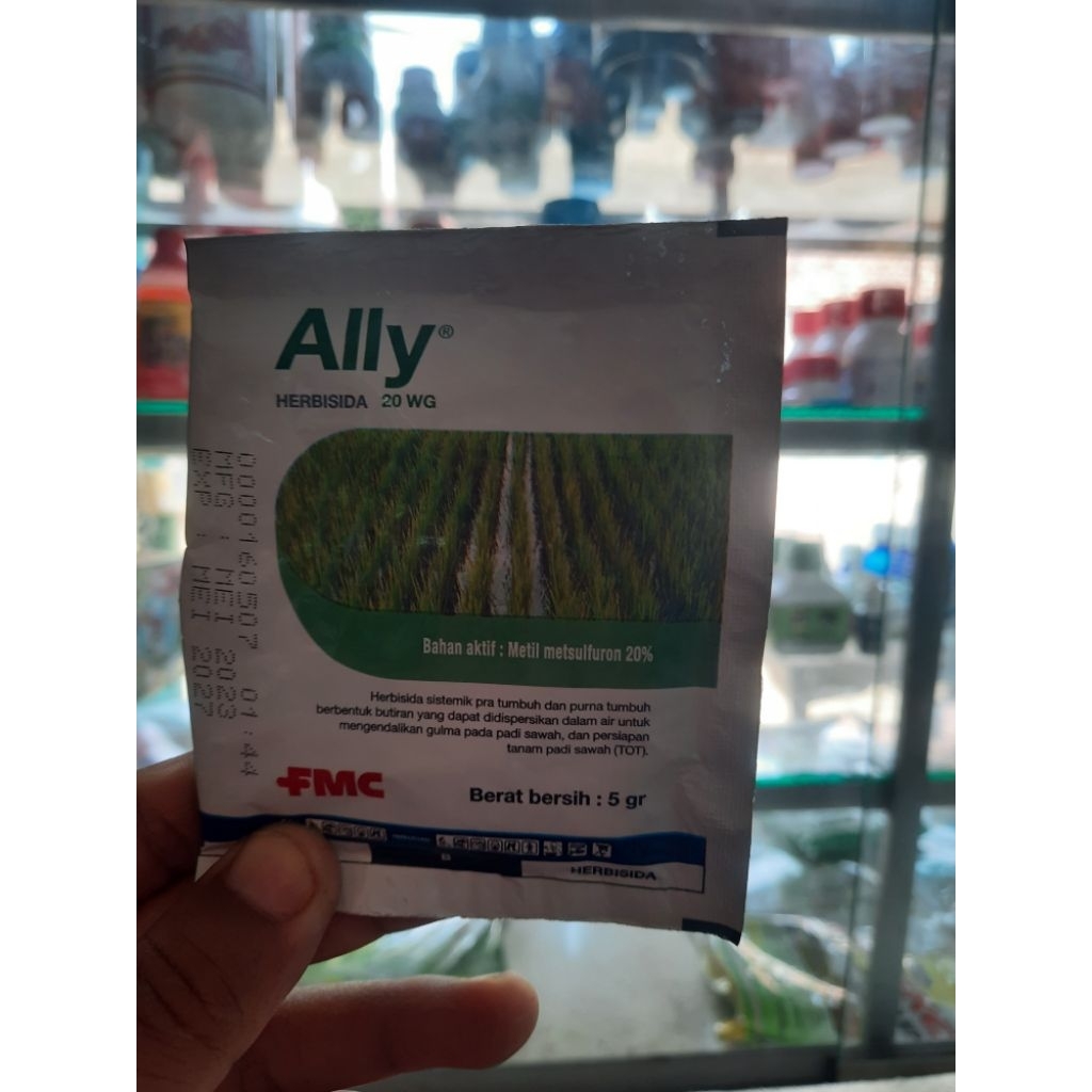 Ally 20 WG