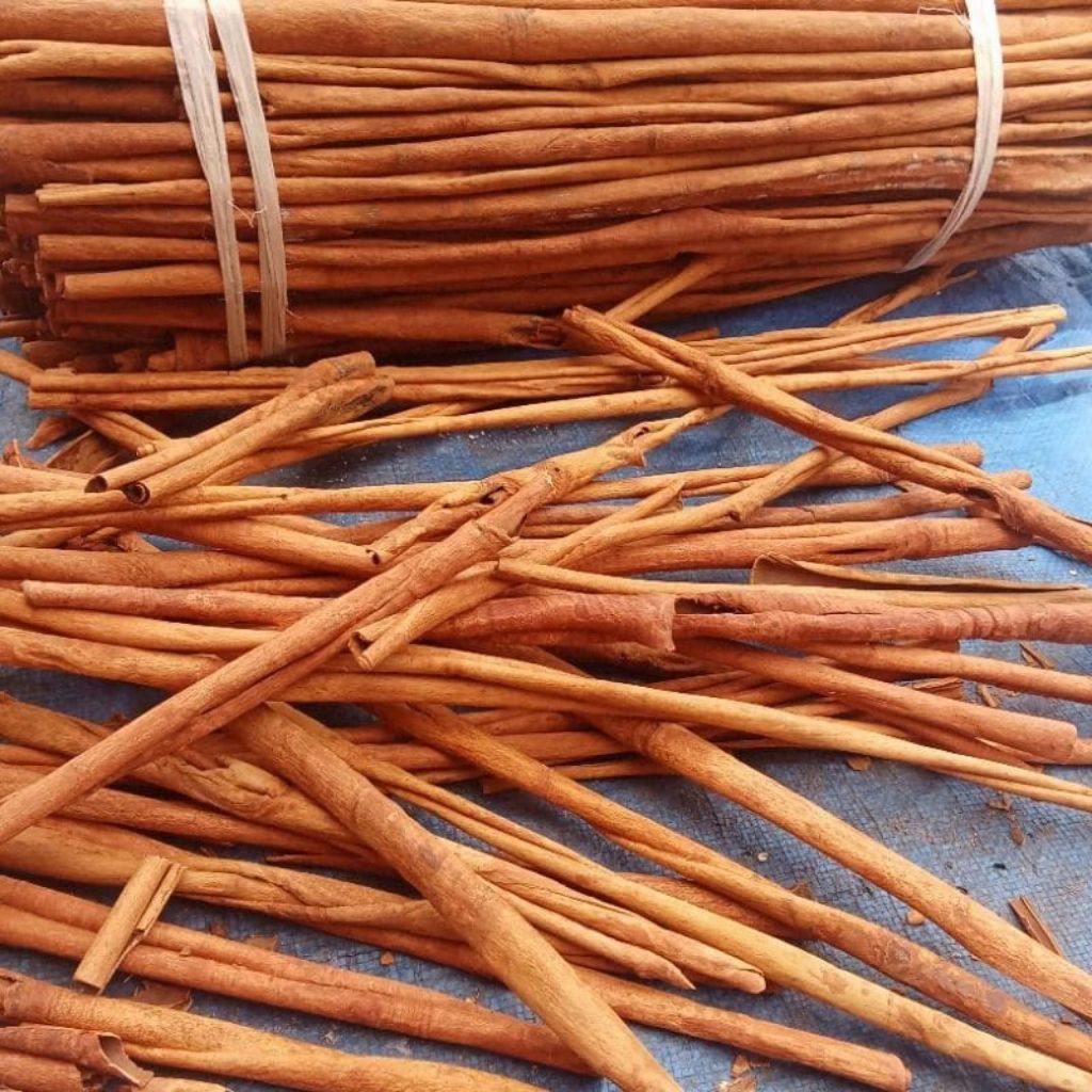 

Kayu Manis Stick 50gr Cinnamon Stick 10cm Rempah Wangi Berkualitas