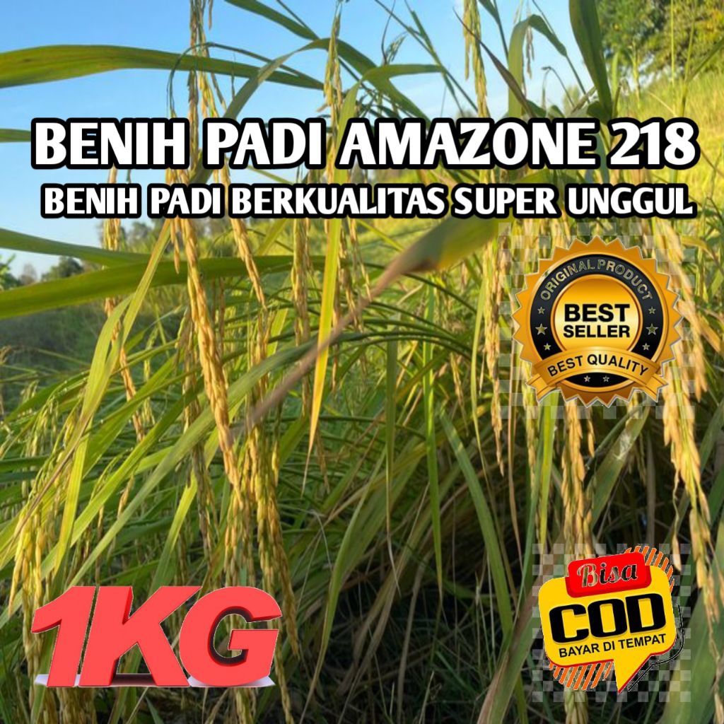 BENIH PADI AMAZONE 218 BEEKUALITAS SUPER UNGGUL KEMASAN 1KG