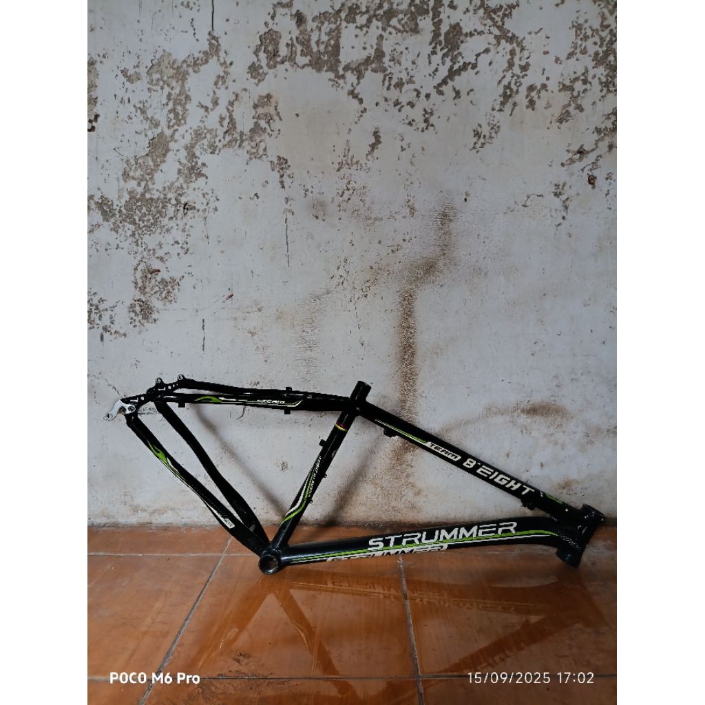 Frame Alloy MTB strummer