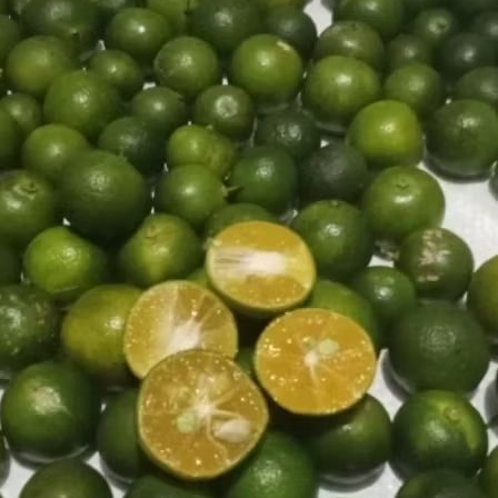 

JERUK SONKIT 5KG/JERUK KALAMASI LEMON CUI/JERUK KASTURI UKURAN RANDOM