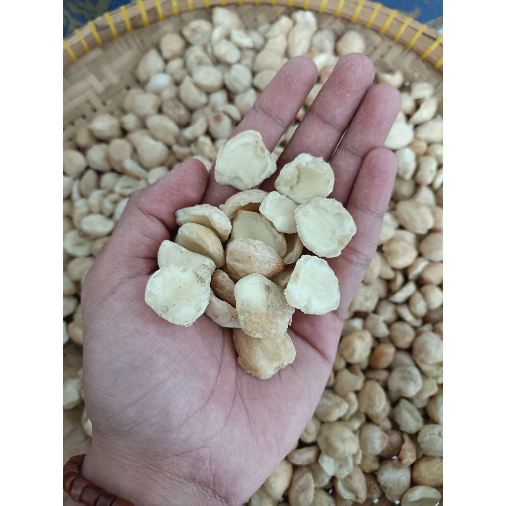 Kemiri Pecah | Kemiri Pecah Murah | Kemiri Bumbu Masak | Kemiri Bahan Minyak