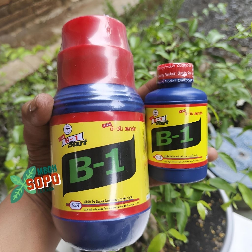 Pupuk Bonsai dan Tanaman Hias, Vitamin B1 Liquinox Thailand Original