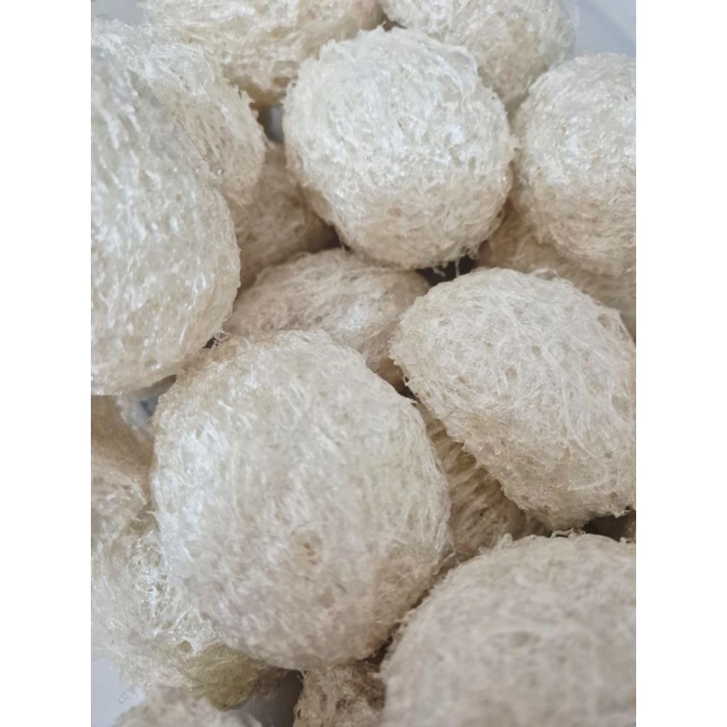 WALET dijual per 100 gr / WALET BERSIH / YENWO / PROCESSED BIRD NEST / SARANG WALET BERSIH