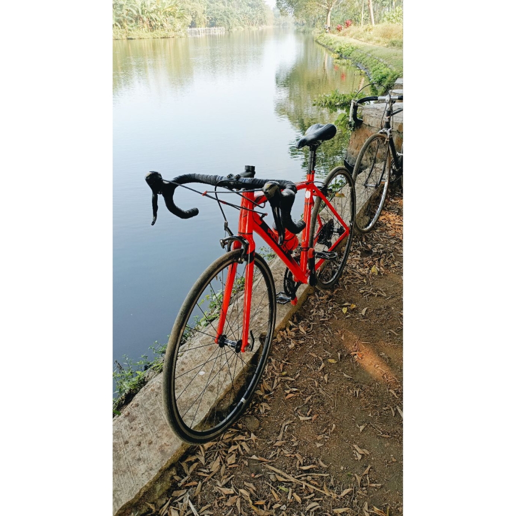 Frameset Polygon Strattos S2 2018