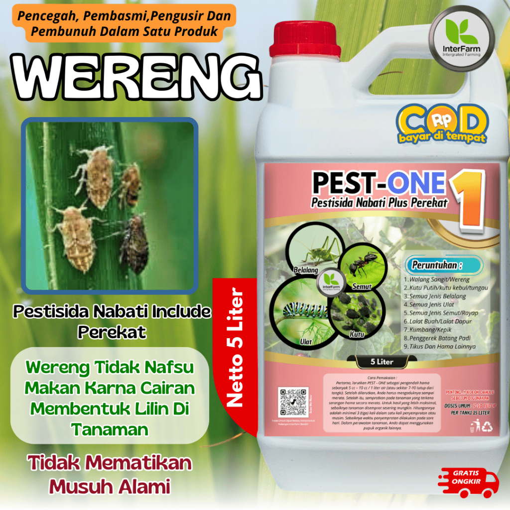 5 Liter Obat Hama wereng Padi / Pestisida Organik untuk semua tanaman | obat wereng padi Antihama
