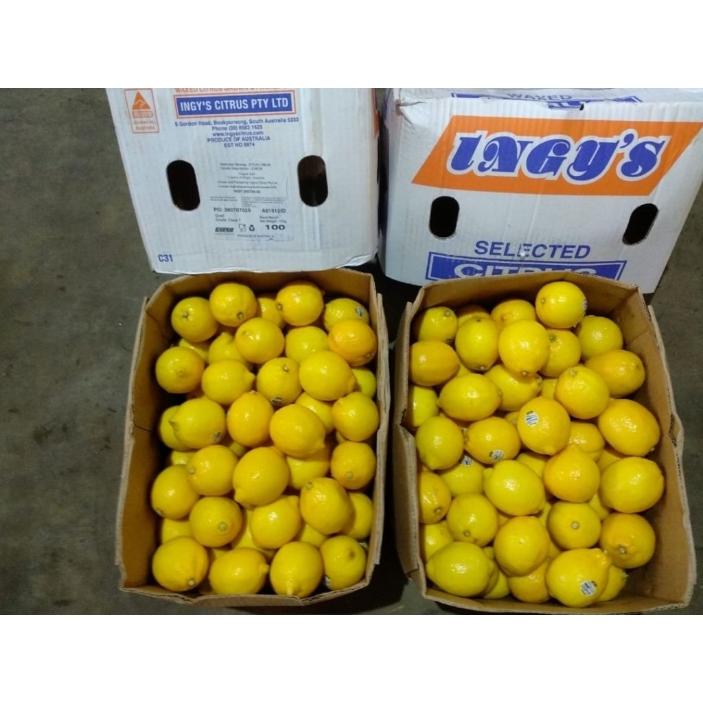 

Buah Lemon Import Segar/Fresh
