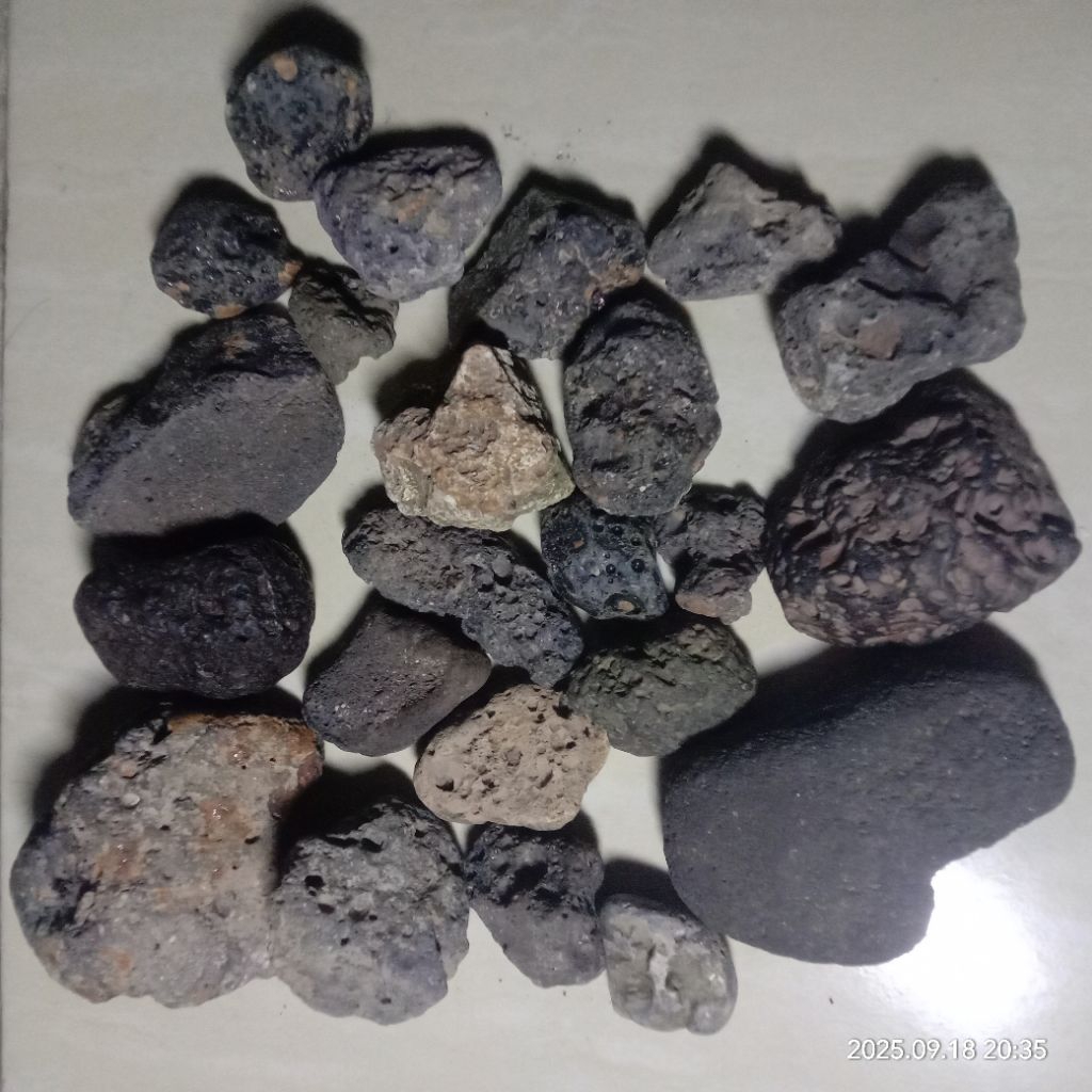 batu meteorit palasite