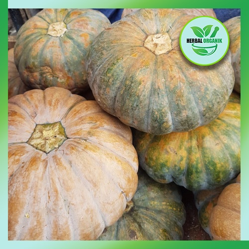 

Buah Labu halloween 1 kg Fresh per butir herbal organik