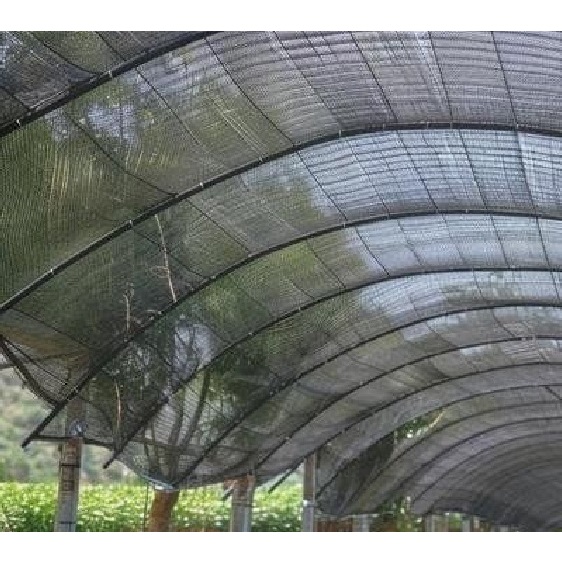 Paranet 75%, paranet 85% Polyetilen (Harga Per meter)