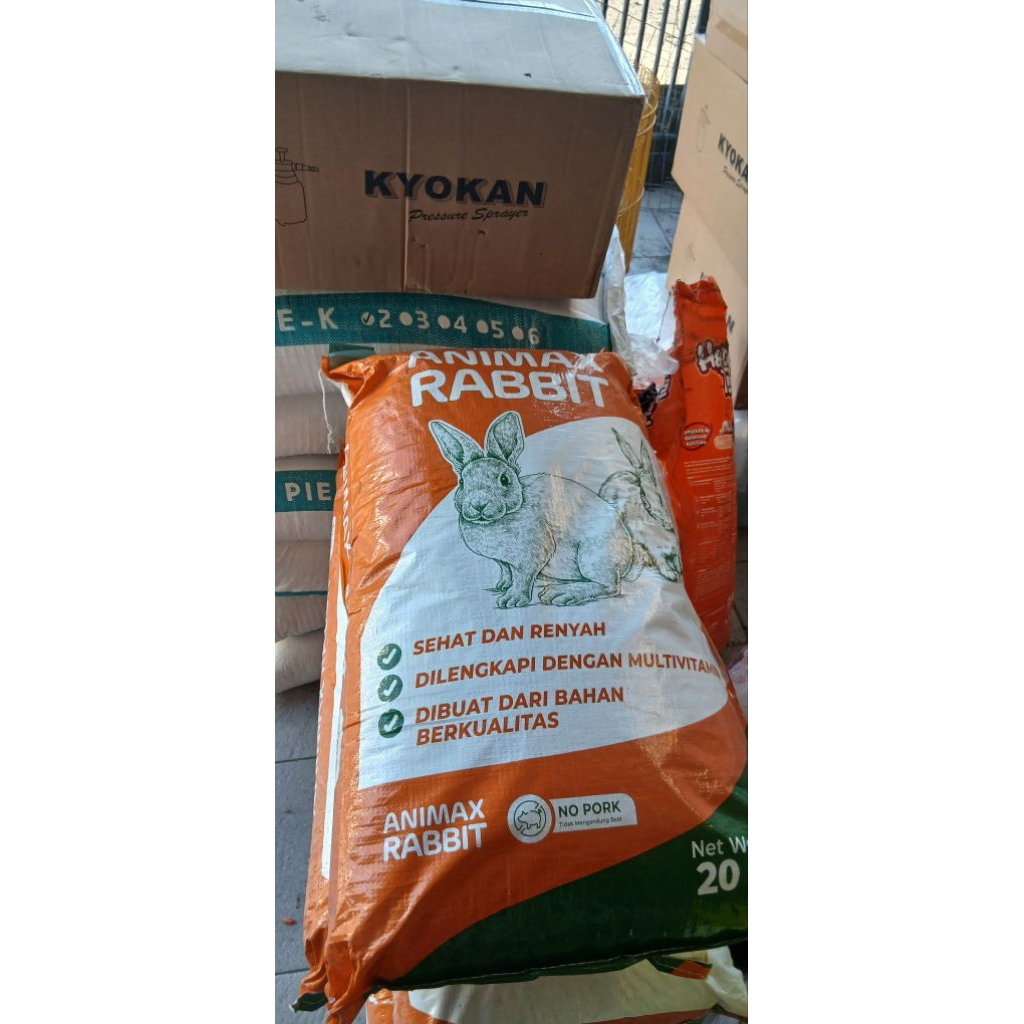 Animax Rabbit