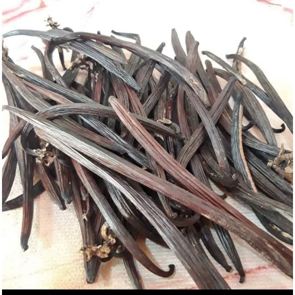 

vanili kering termurah perbiji