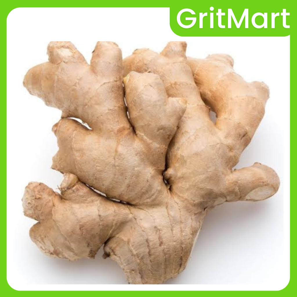 

Jahe Besar Kualitas Super 500 gr