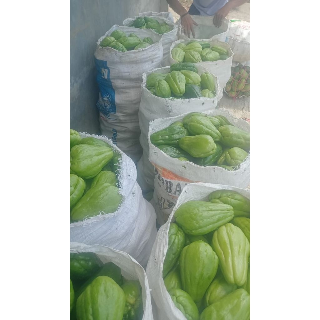 

labu siam jumbo /5kg