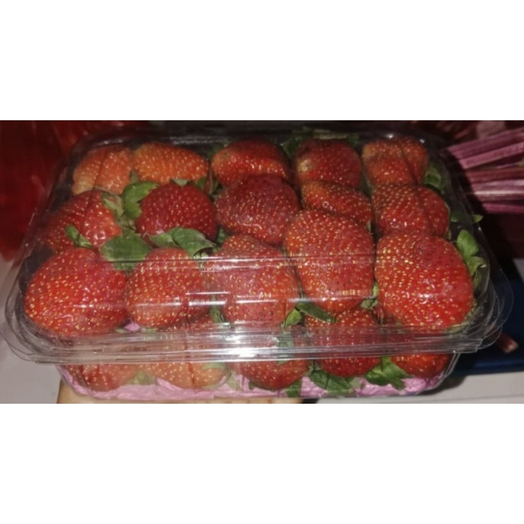 Stroberi Jumbo Besar Segar 500gram - Strawberry Fresh 500 gram untuk Jus Buah Salad