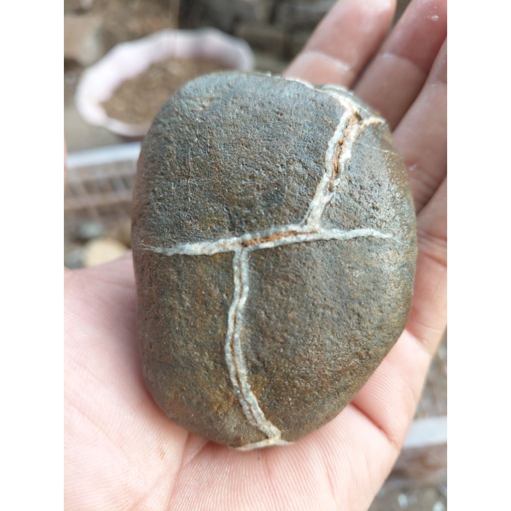 batu asli alam batu petir napak jalak harga satuan